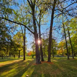 City Park (Gradski Park) - Skopje
