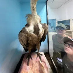 Museum of Struga - Struga