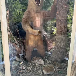 Museum of Struga - Struga