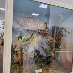 Museum of Struga - Struga