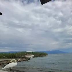 Struga Beach - Struga