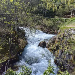 Vevchani Springs - Struga