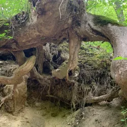 Petrino Waterfall - Strumica