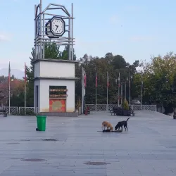 Strumica Carnival - Strumica