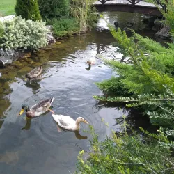 Strumica River Park - Strumica