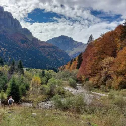 Šar Mountains National Park - Tetovo