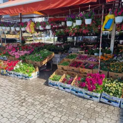 Tetovo Bazaar - Tetovo