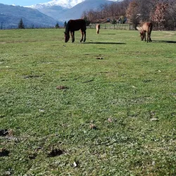 Tetovo Fortress (Baltepe Fortress) - Tetovo