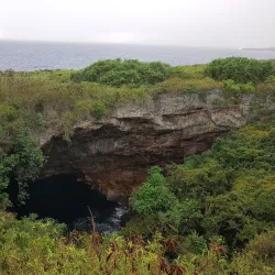 Forbidden Island - Rota