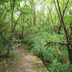 Forbidden Island - Rota