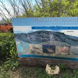 Forbidden Island - Rota