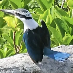 I'Chenchon Beach - Rota