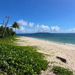 Tinian Blow Hole - Tinian