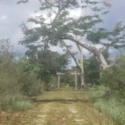 Tinian Japanese Shrine Ruins - Tinian
