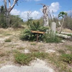 Tinian Japanese Shrine Ruins - Tinian