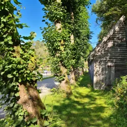 Alvøen Manor - Agotnes