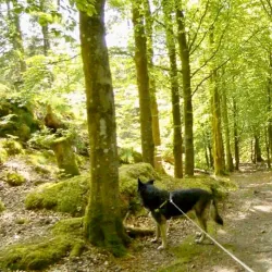 Alvøen Manor - Agotnes