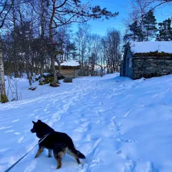 Fanafjellet Mountain - Agotnes