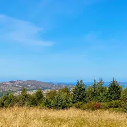 Fjell Fortress - Agotnes