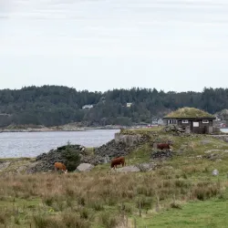 Herdla Nature Reserve - Agotnes