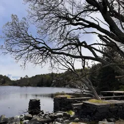 Herdla Nature Reserve - Agotnes