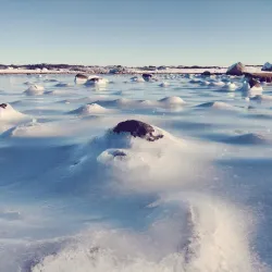 Herdla Nature Reserve - Agotnes
