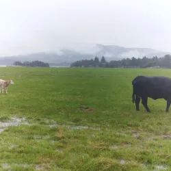 Herdla Nature Reserve - Agotnes