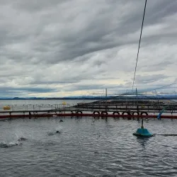 Kystmuseet i Hordaland (Coastal Museum) - Agotnes