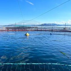 Kystmuseet i Hordaland (Coastal Museum) - Agotnes