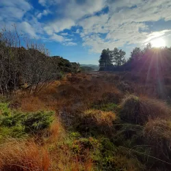 Sotra Island - Agotnes
