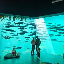 Ålesund Aquarium (Atlanterhavsparken) - Alesund