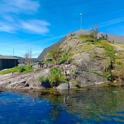 Ålesund Aquarium (Atlanterhavsparken) - Alesund
