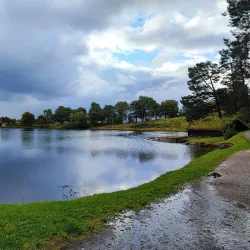 Sunnmøre Museum - Alesund
