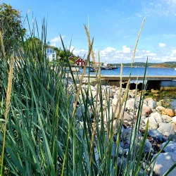 Merdø Island - Arendal