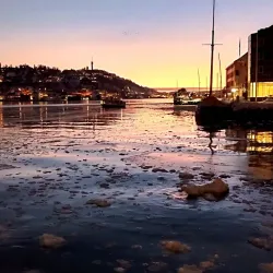 Pollen Marina - Arendal