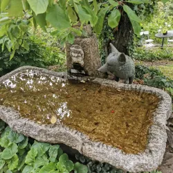 Asker Museum - Asker