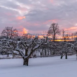 Semsvannet Lake - Asker