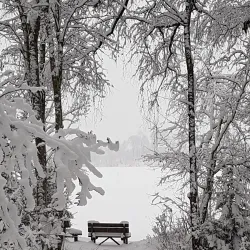 Semsvannet Lake - Asker