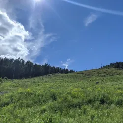 Vardåsen Ski Jump - Asker