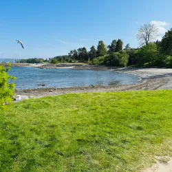 Vollen Marina - Asker