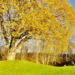 Askim Golf Club - Askim