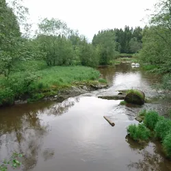 Glomma River - Askim