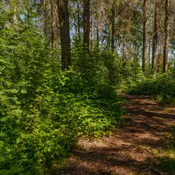 Hov Eventyrpark - Askim