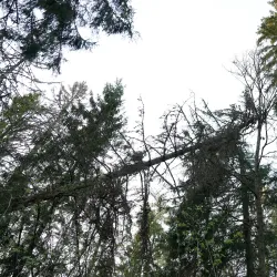 Hov Eventyrpark - Askim