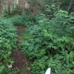 Hov Eventyrpark - Askim