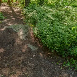 Hov Eventyrpark - Askim