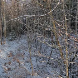 Hov Eventyrpark - Askim