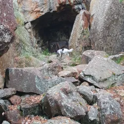 Kråkerøy Nature Reserve - Askim