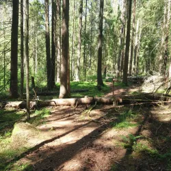 Kråkerøy Nature Reserve - Askim