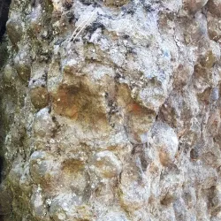 Kråkerøy Nature Reserve - Askim